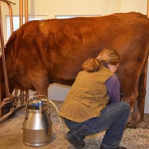 Meet your Posher, Brenda